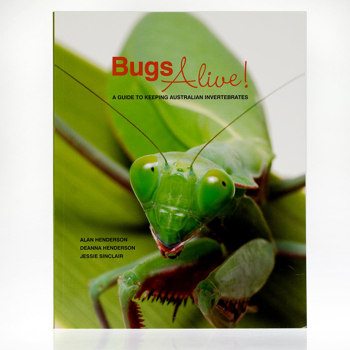 Bugs Alive! A Guide to Keeping Australian Invertebrates