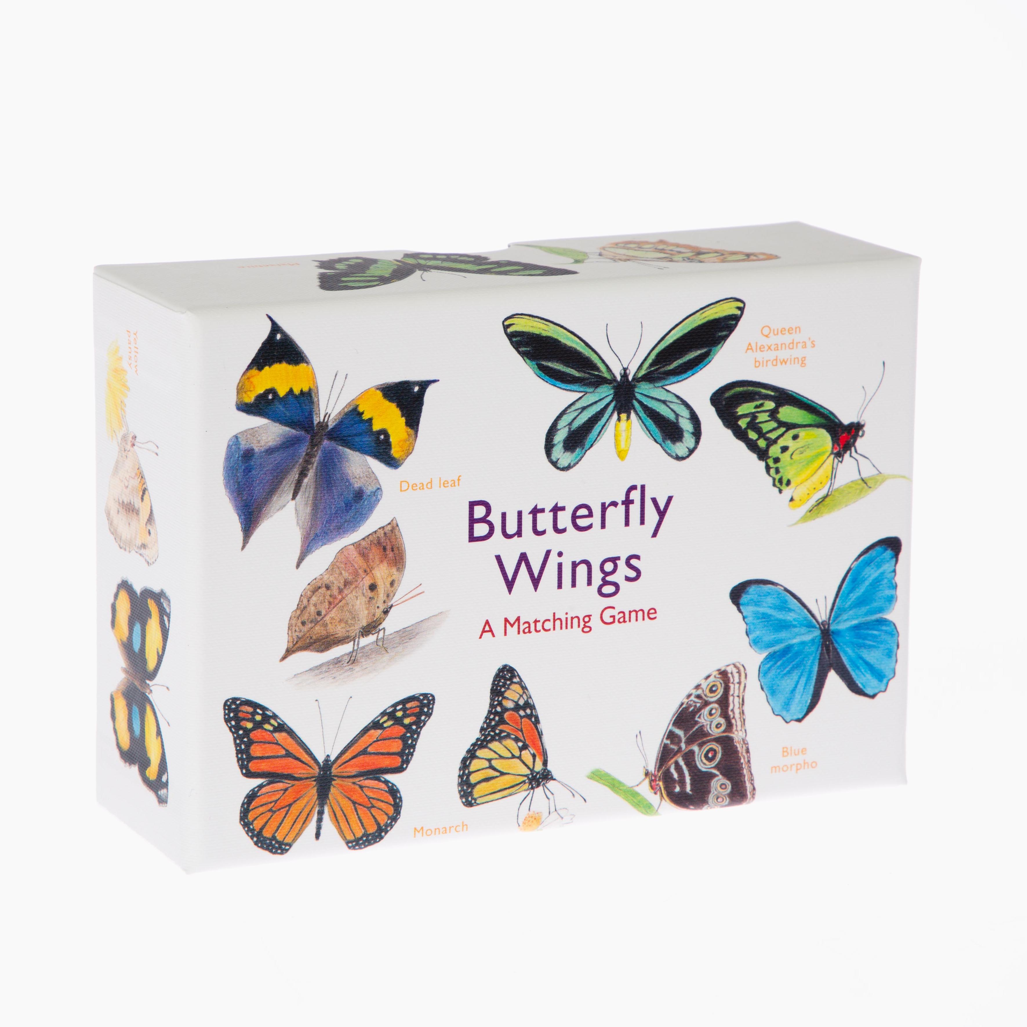 Butterflywings1.jpg