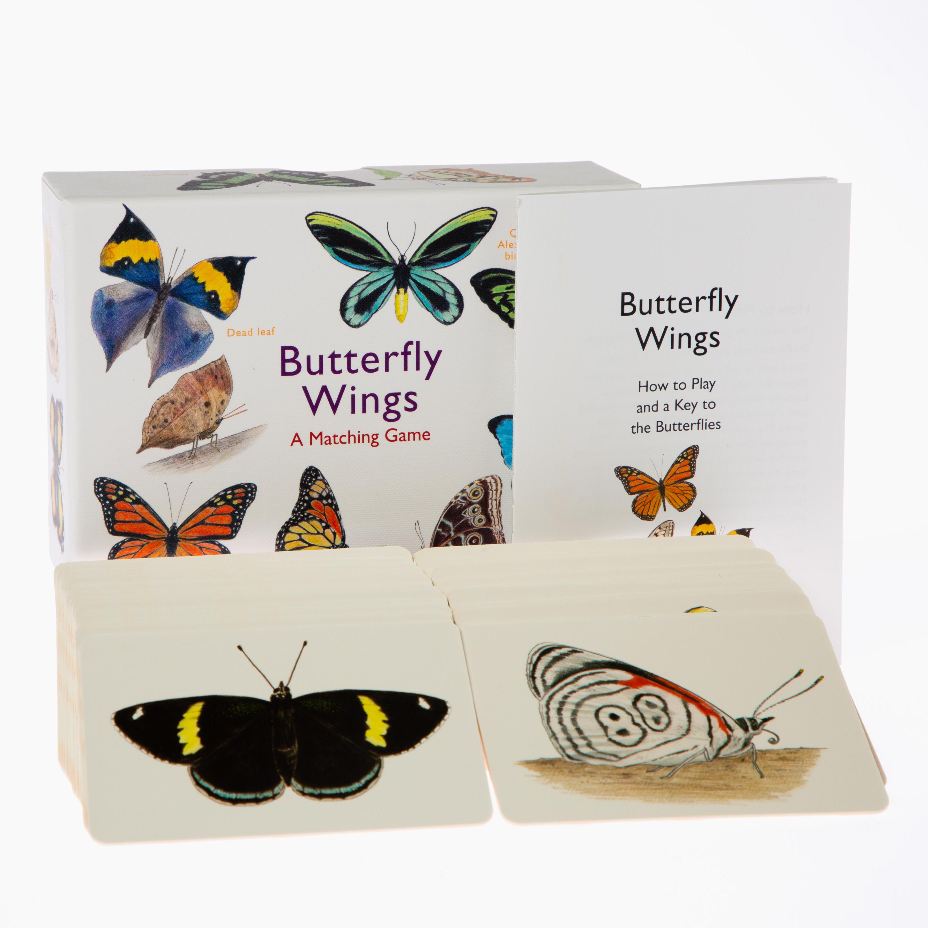 Butterflywings3.jpg