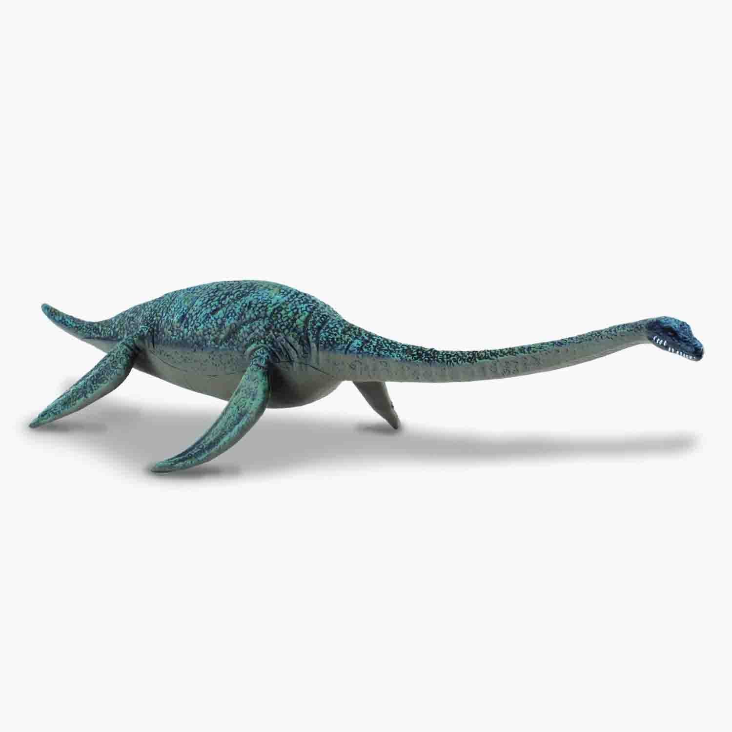 Hydrotherosaurus Replica