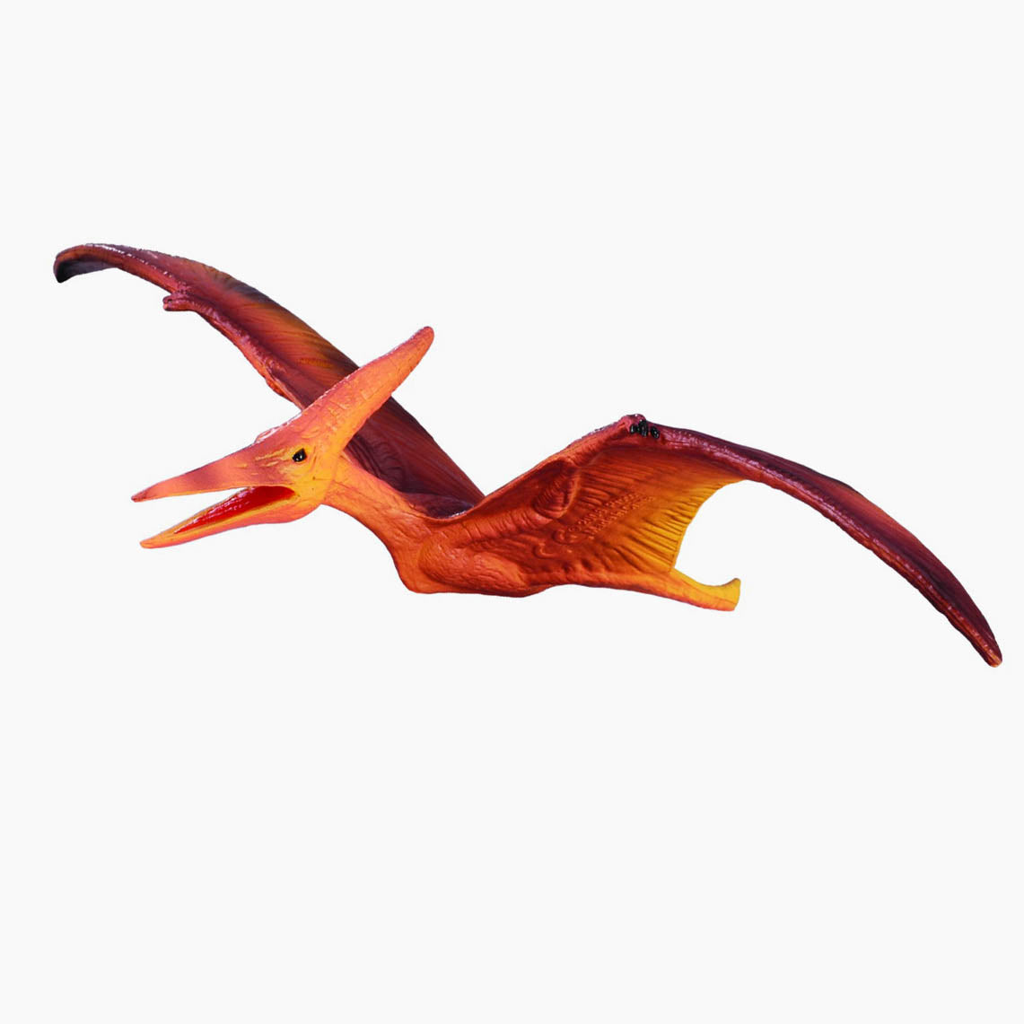 Pteranodon Replica