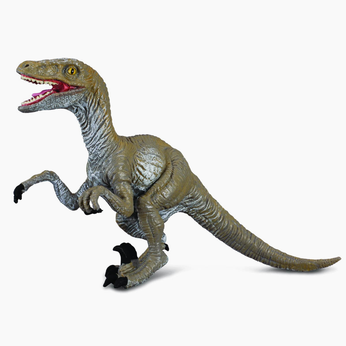 Velociraptor Replica