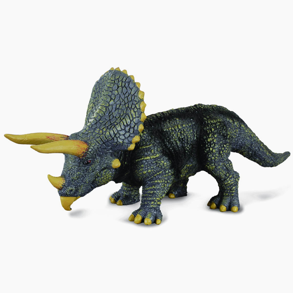 Triceratops Replica
