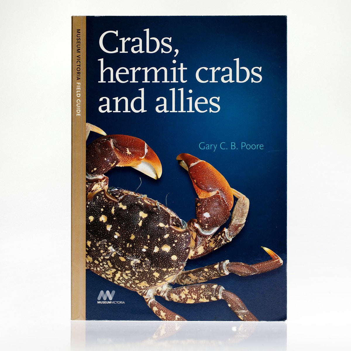 Crabs_HermitCrabsandAllies1.jpg