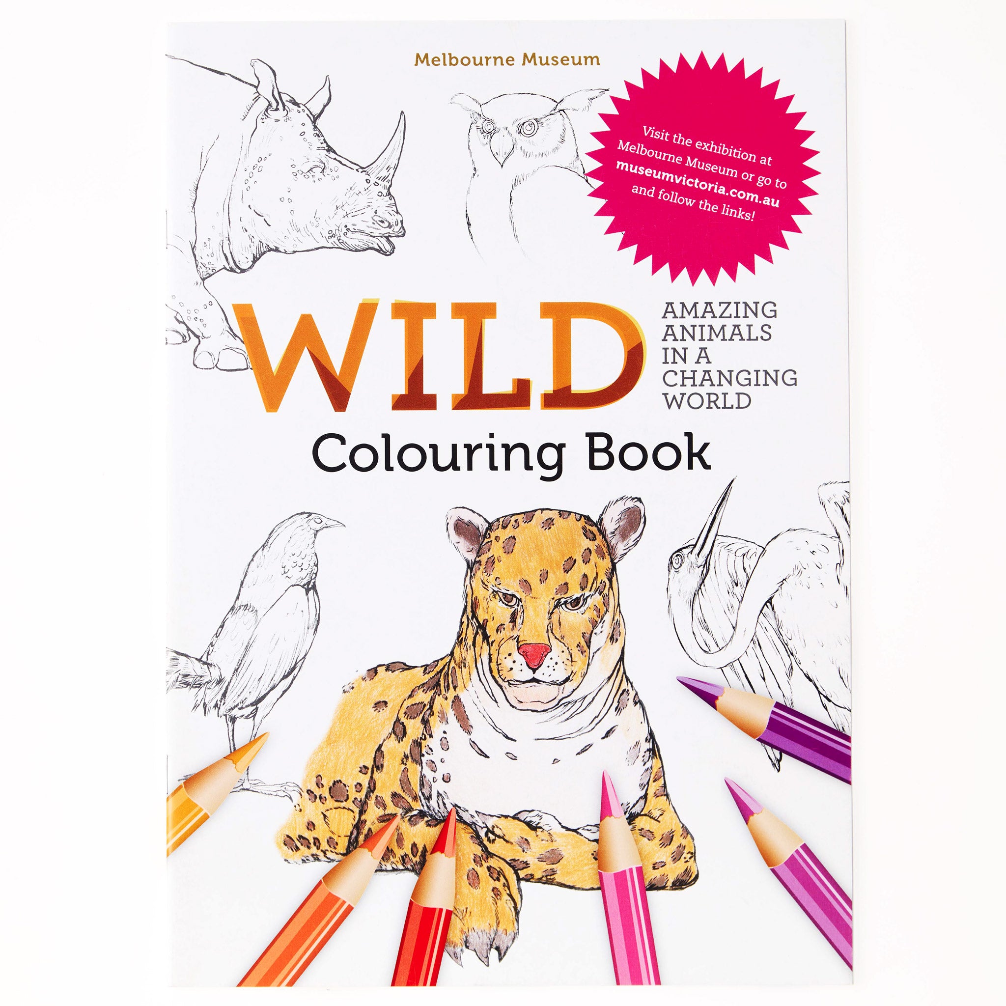 Wild Colouring Book