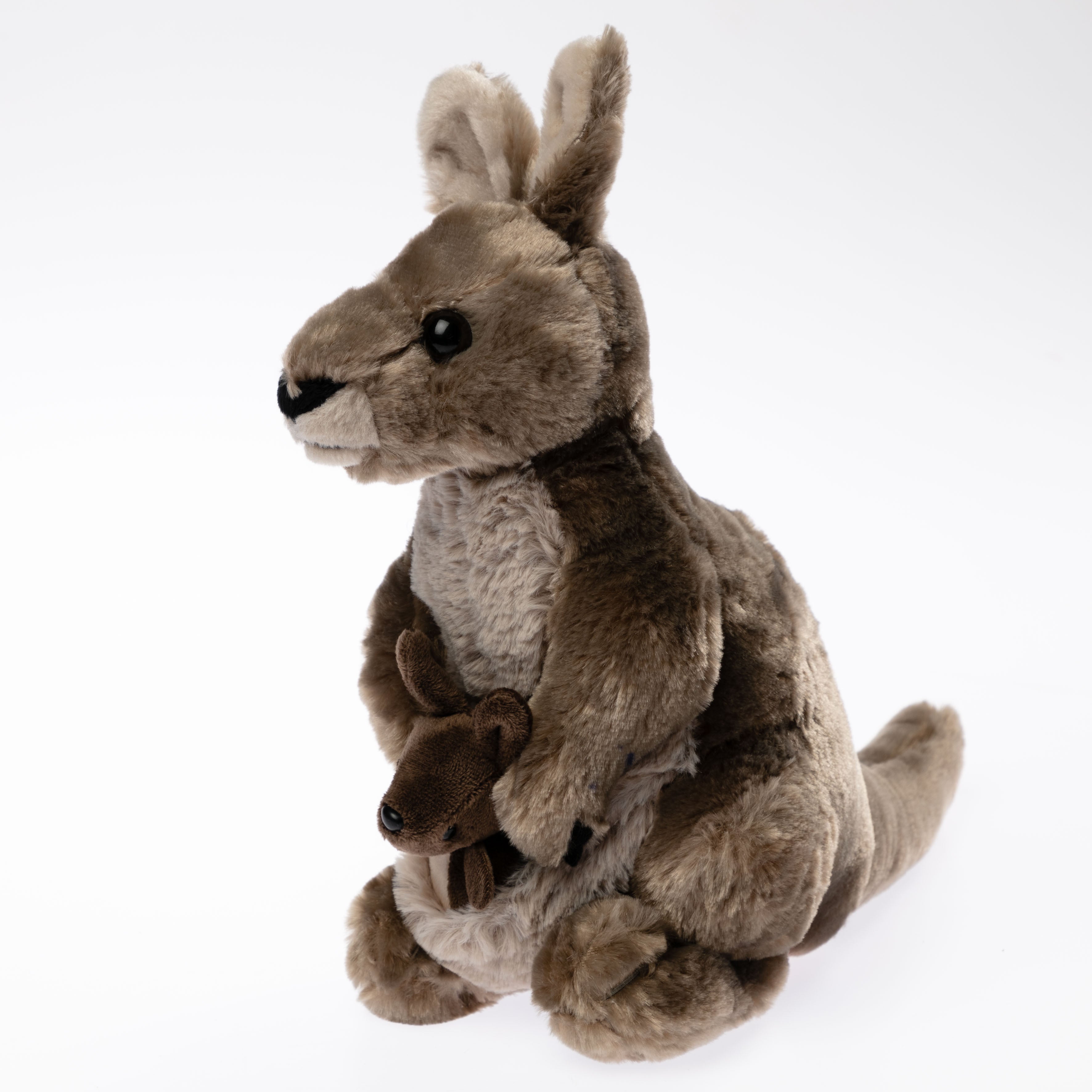 Store Kangaroo Plush – Museums Victoria