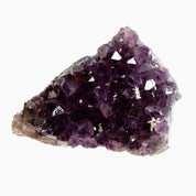 Small Amethyst Cluster