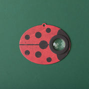 Ladybird Eye Kaleidoscope