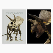 Melbourne Museum Triceratops Hardcover Notebook