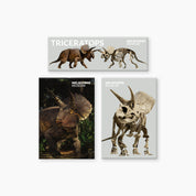 Melbourne Museum Triceratops Exhibition Magnets
