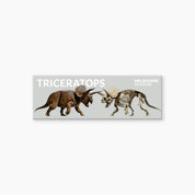 Melbourne Museum Triceratops Exhibition Magnets