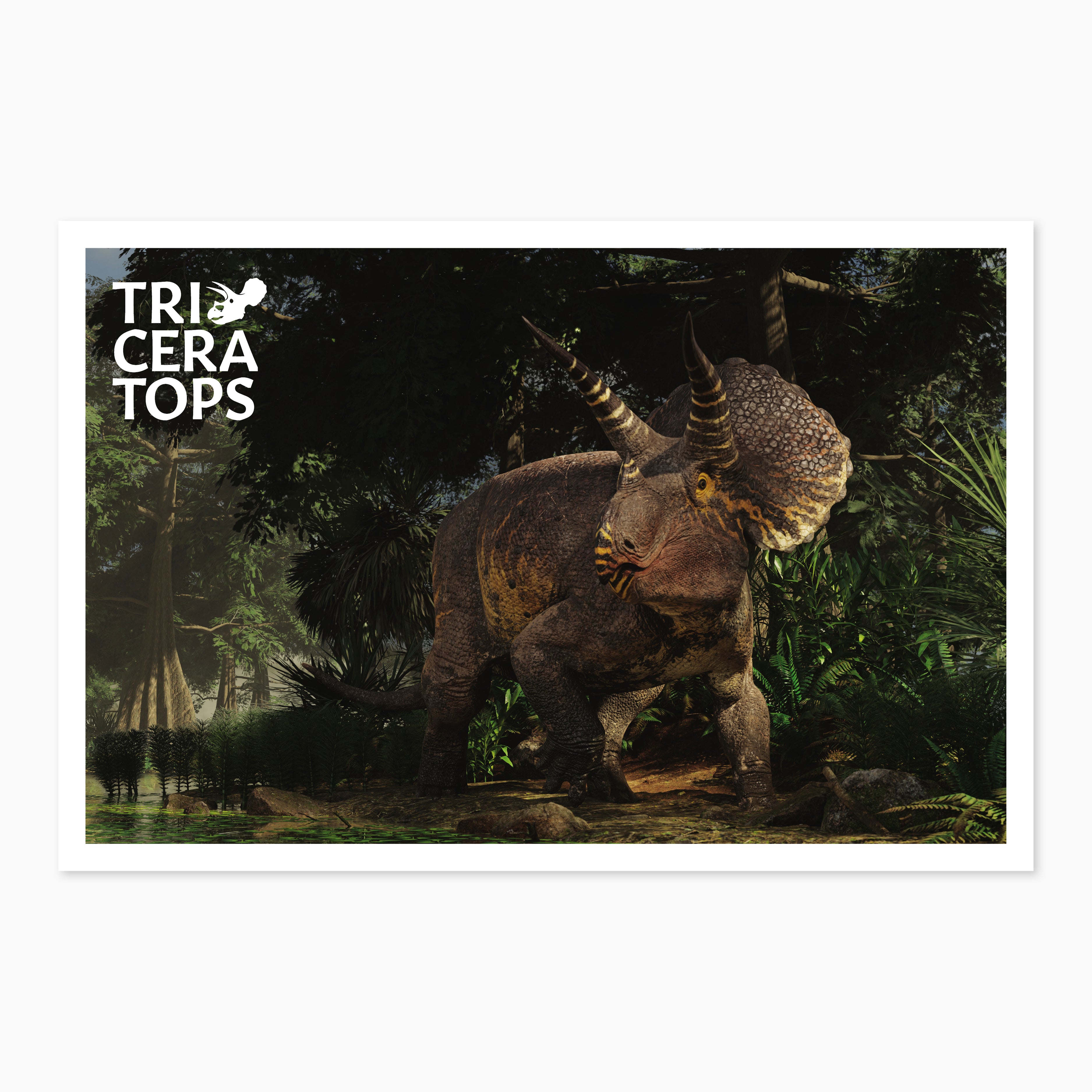 Melbourne Museum Triceratops Postcard