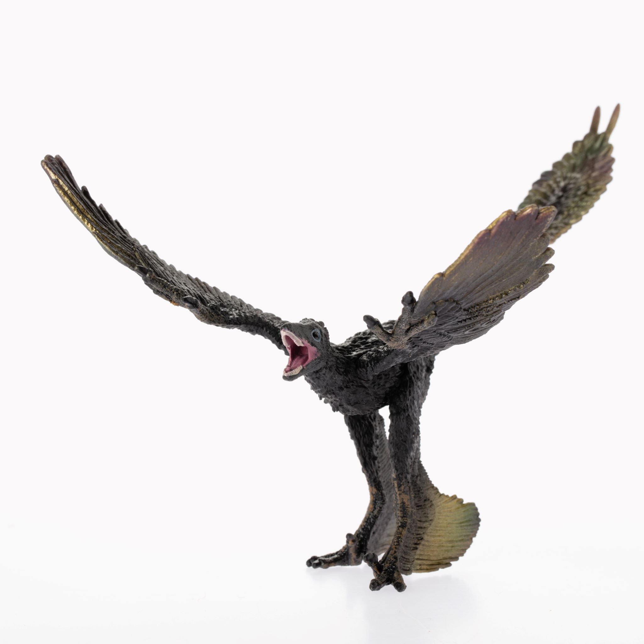 Microraptor1.jpg