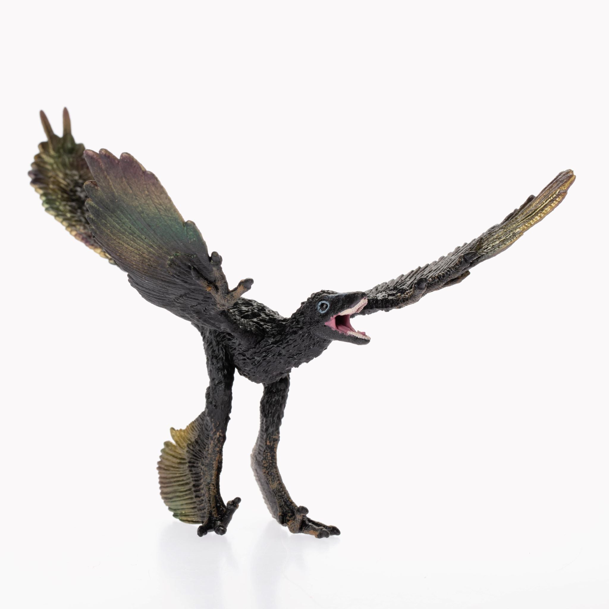 Microraptor2.jpg