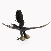 Microraptor Replica