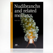 Nudibranchs and Related Molluscs