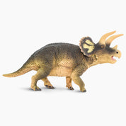 Triceratops Replica