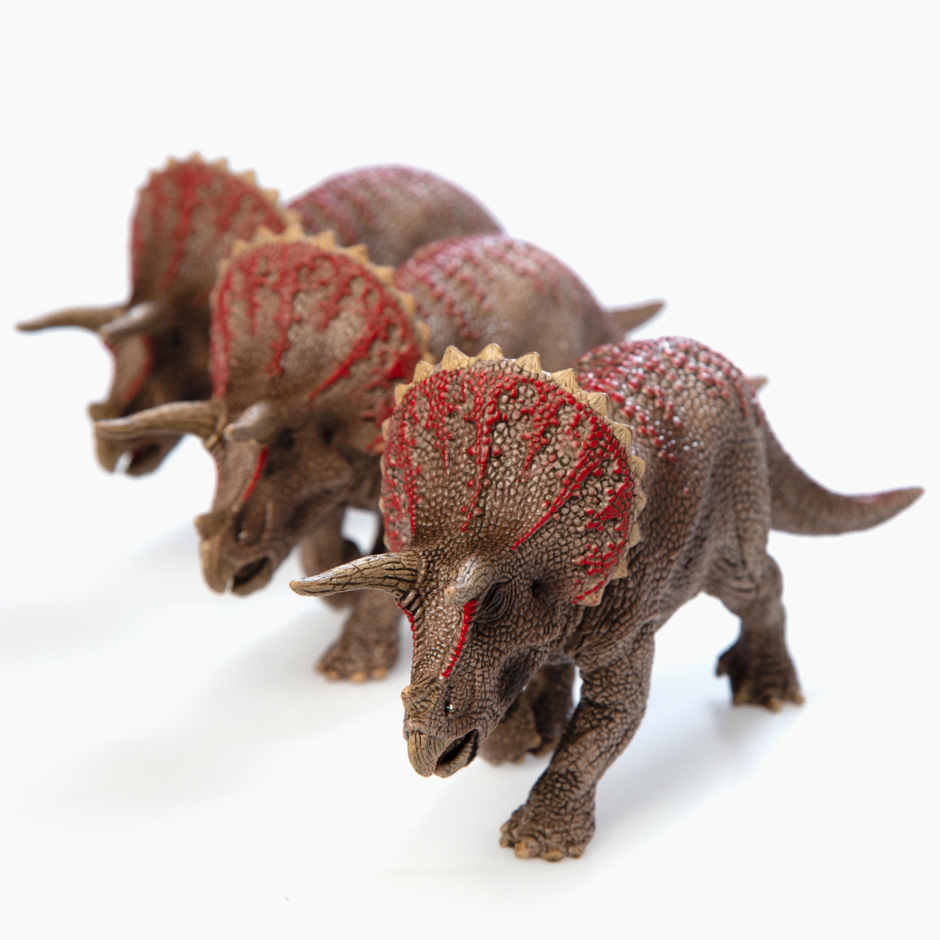 Schleich Triceratops Replica
