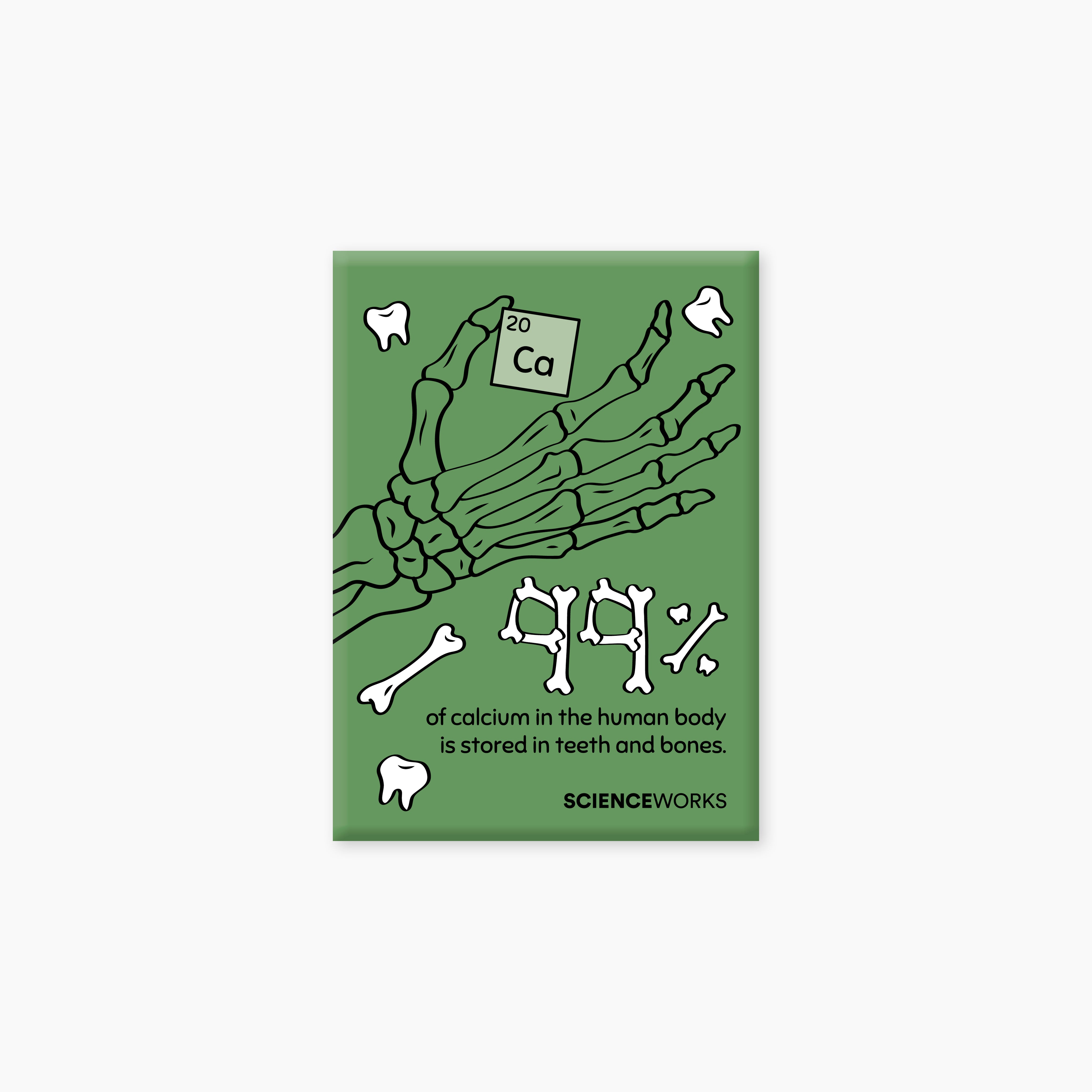 ScienceworksMagnetCollection-Calcium.jpg