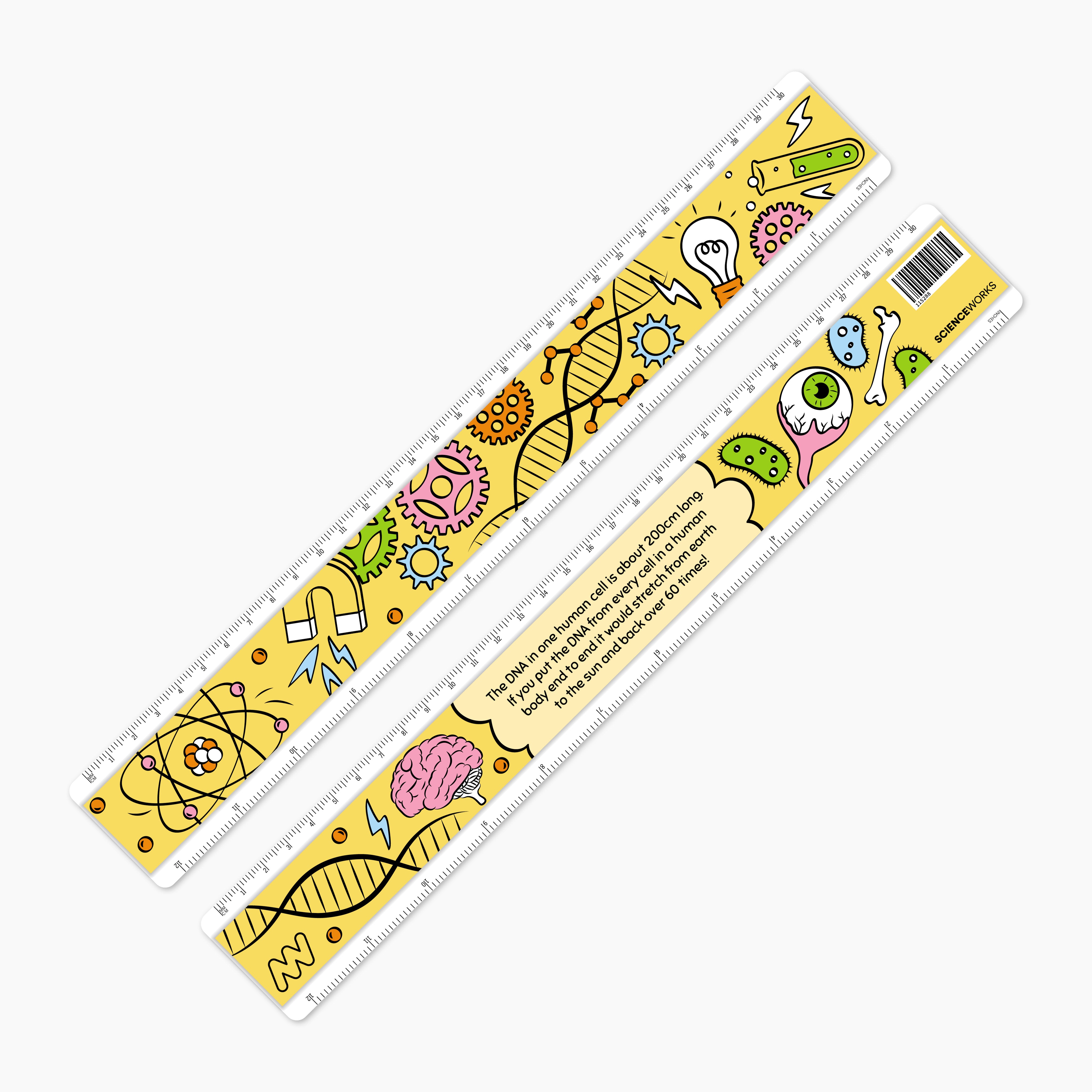 Sciencewooks 30cm Ruler
