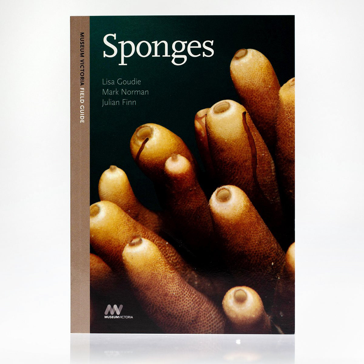 Sponges1.jpg