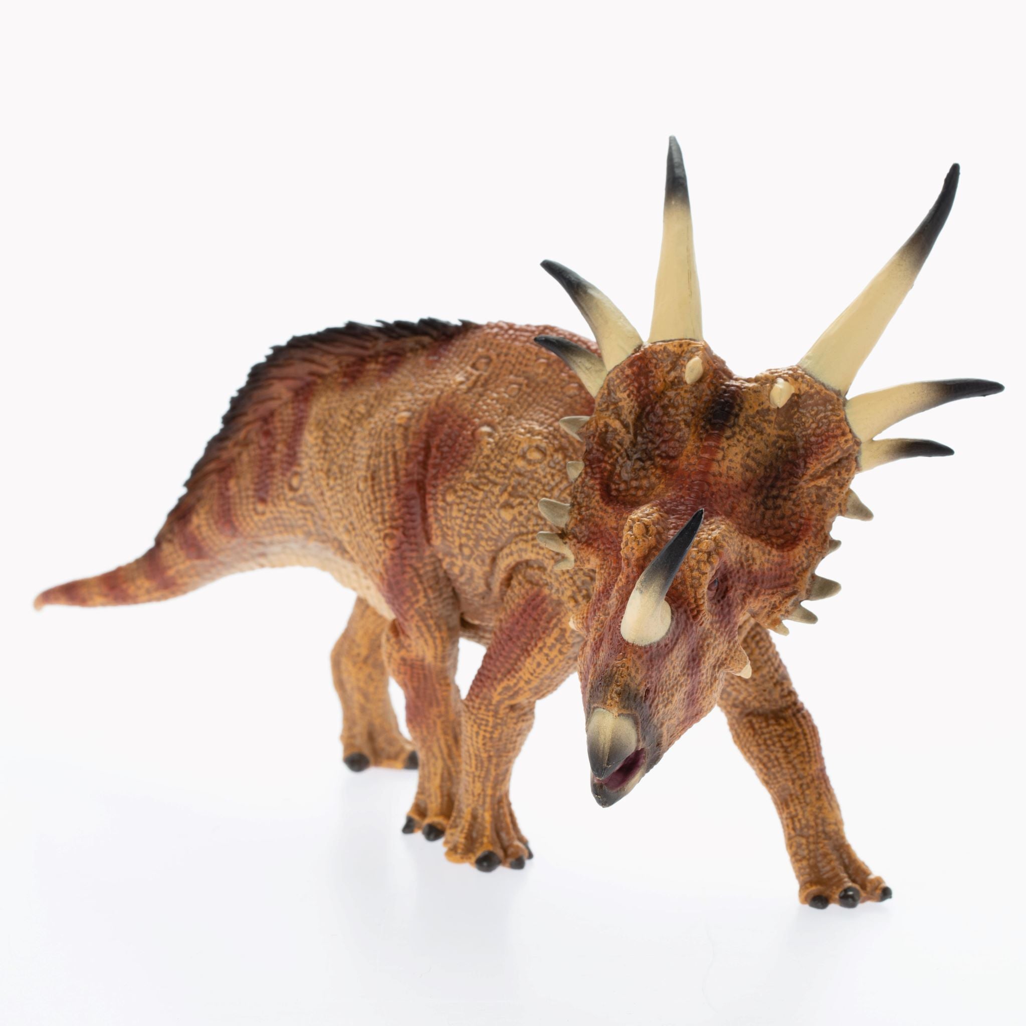 Styracosaurus1.jpg