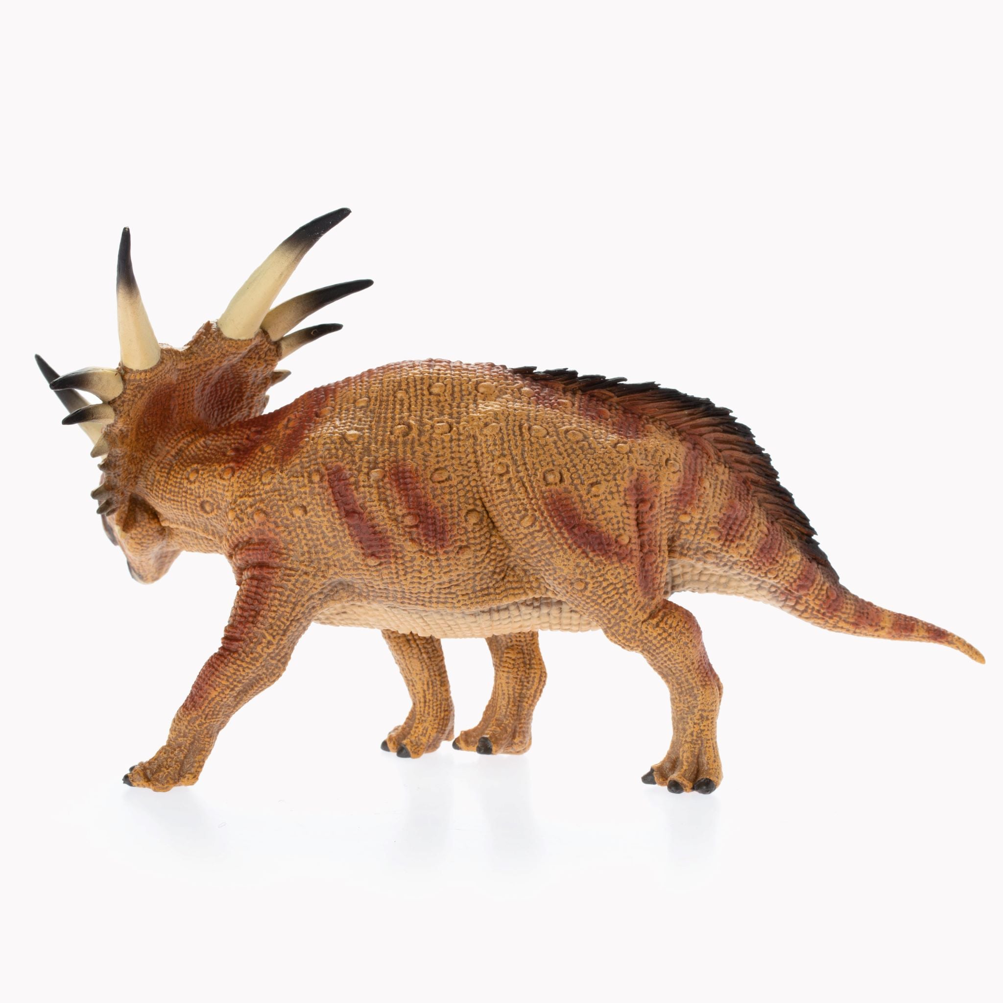 Deluxe Styracosaurus Replica
