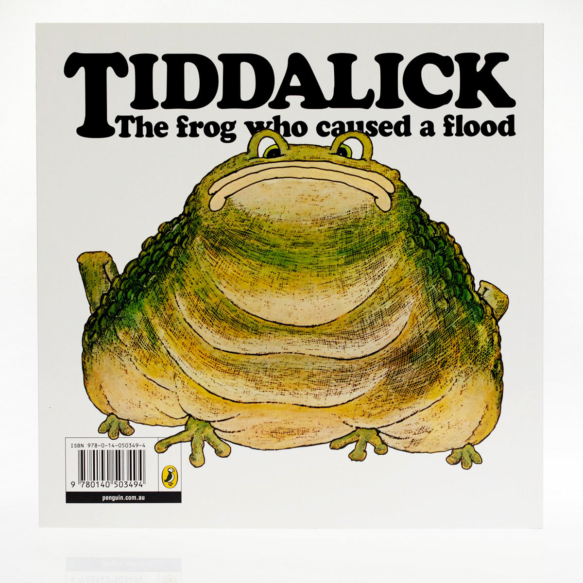 TiddalicktheFrogWhoCausedaFlood2.jpg