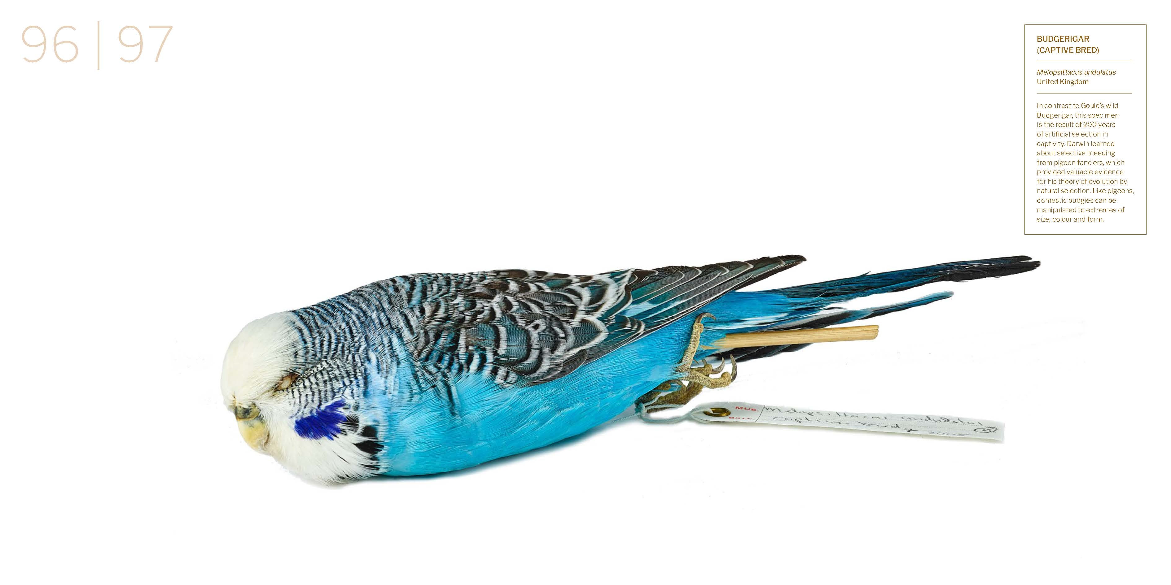 Treasures of the Natural World Catalogue