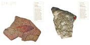 Treasures of the Natural World Catalogue