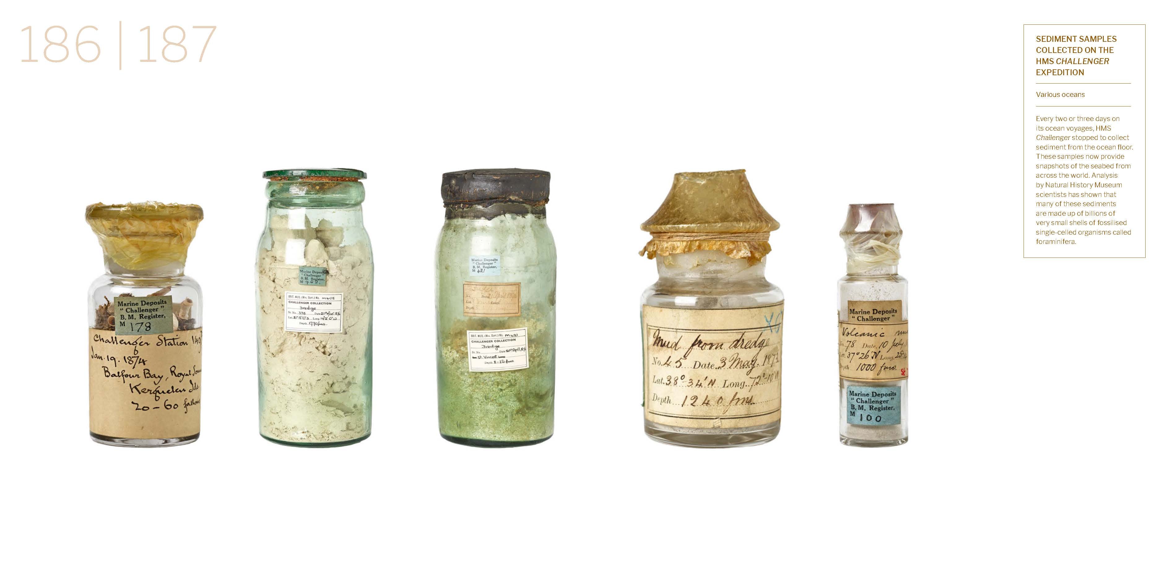 Treasures of the Natural World Catalogue