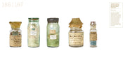 Treasures of the Natural World Catalogue