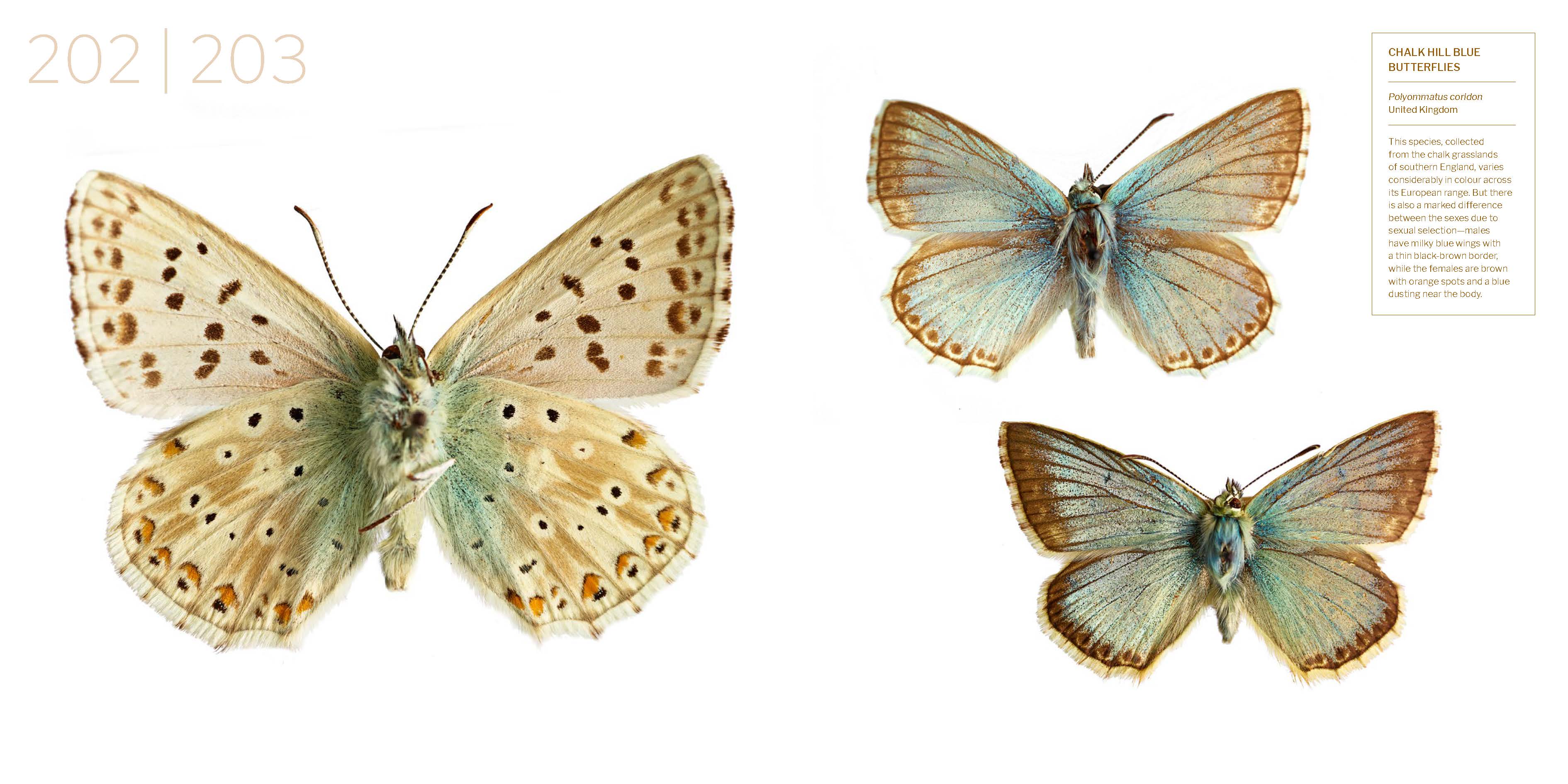 Treasures of the Natural World Catalogue