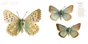 Treasures of the Natural World Catalogue