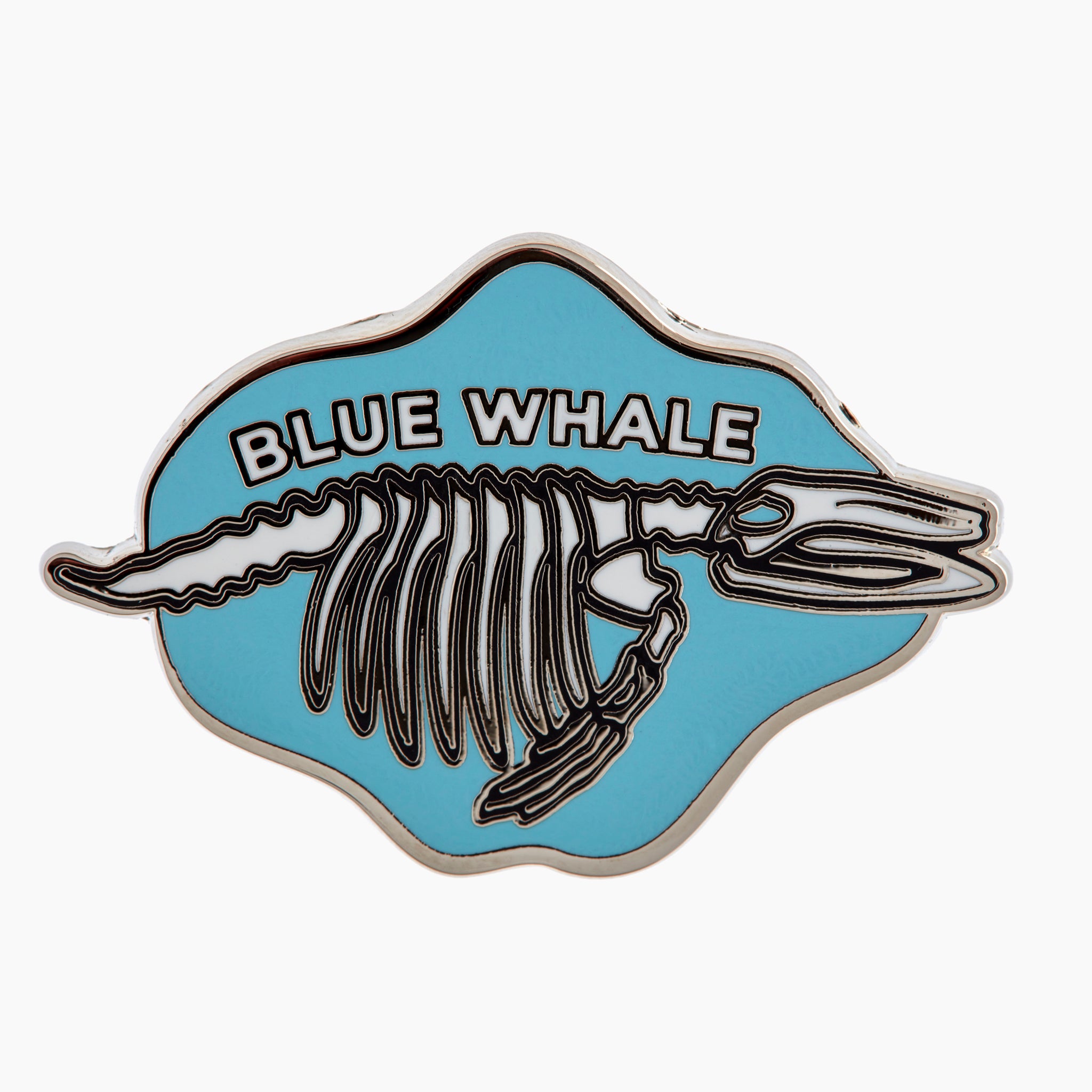 Blue Whale Skeleton Enamel Pin – Museums Victoria Store