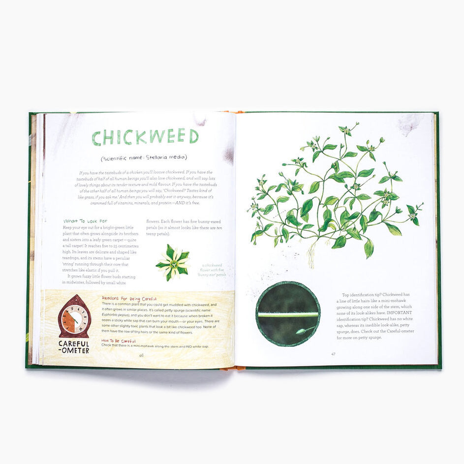 Let's Eat Weeds! A Kids' Guide to Foraging