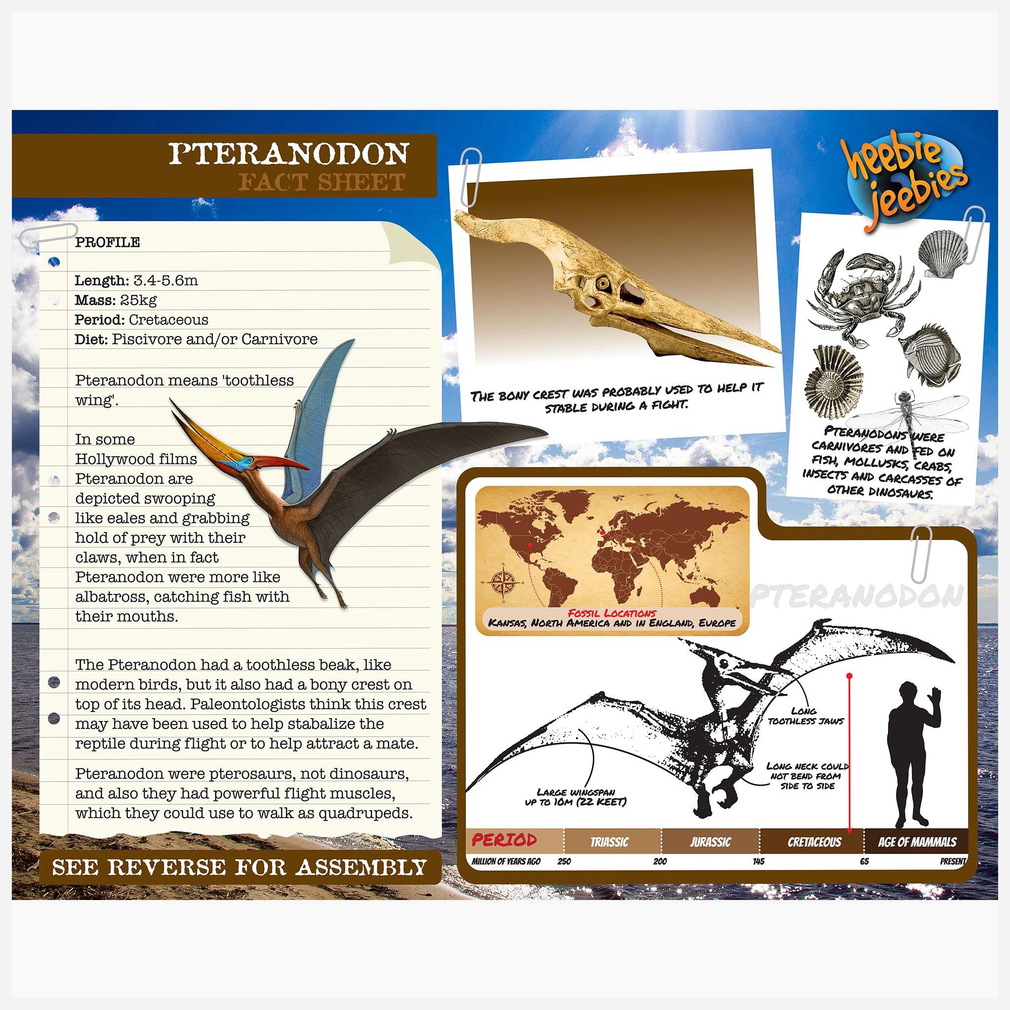 pteranodonwoodkitback.jpg