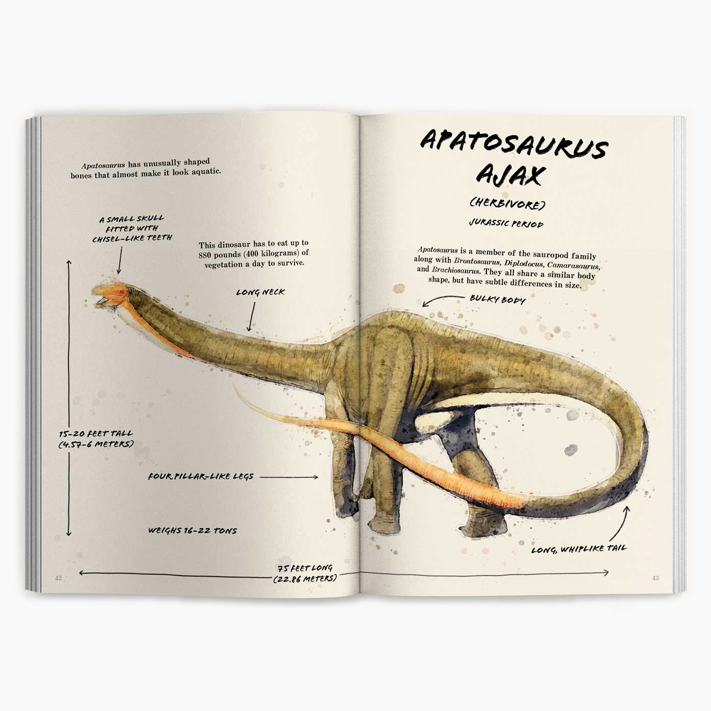 The Ultimate Dinosaur Field Guide