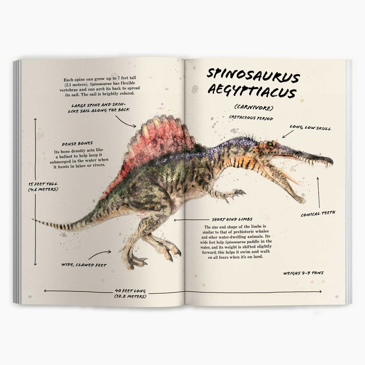 The Ultimate Dinosaur Field Guide