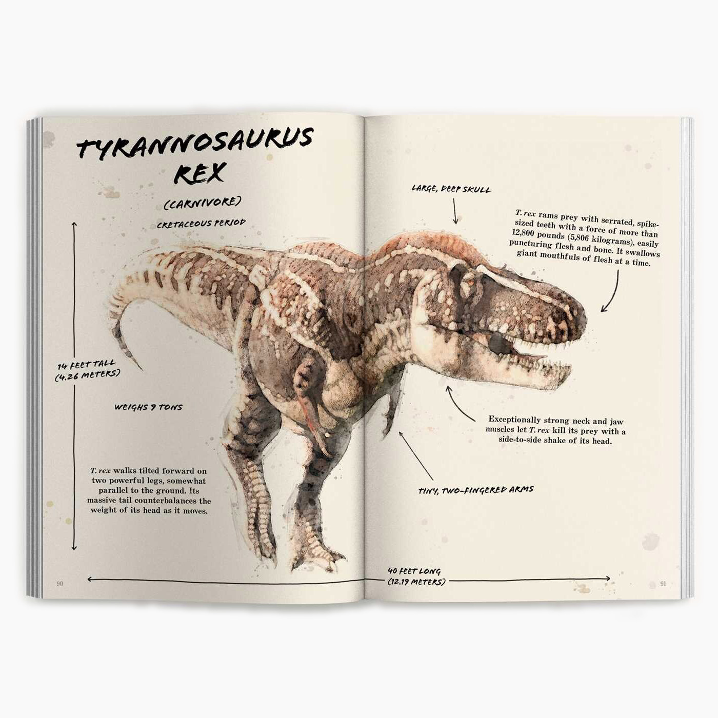 The Ultimate Dinosaur Field Guide